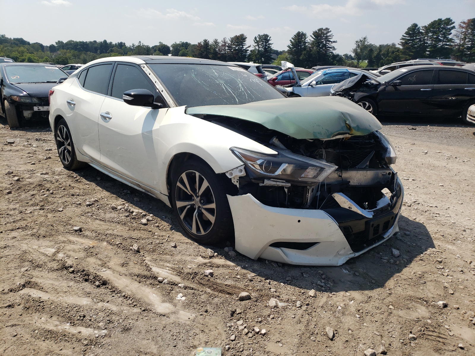 NISSAN MAXIMA 3.5 2016 with VIN 1N4AA6AP1GC384949 - Photo from auction