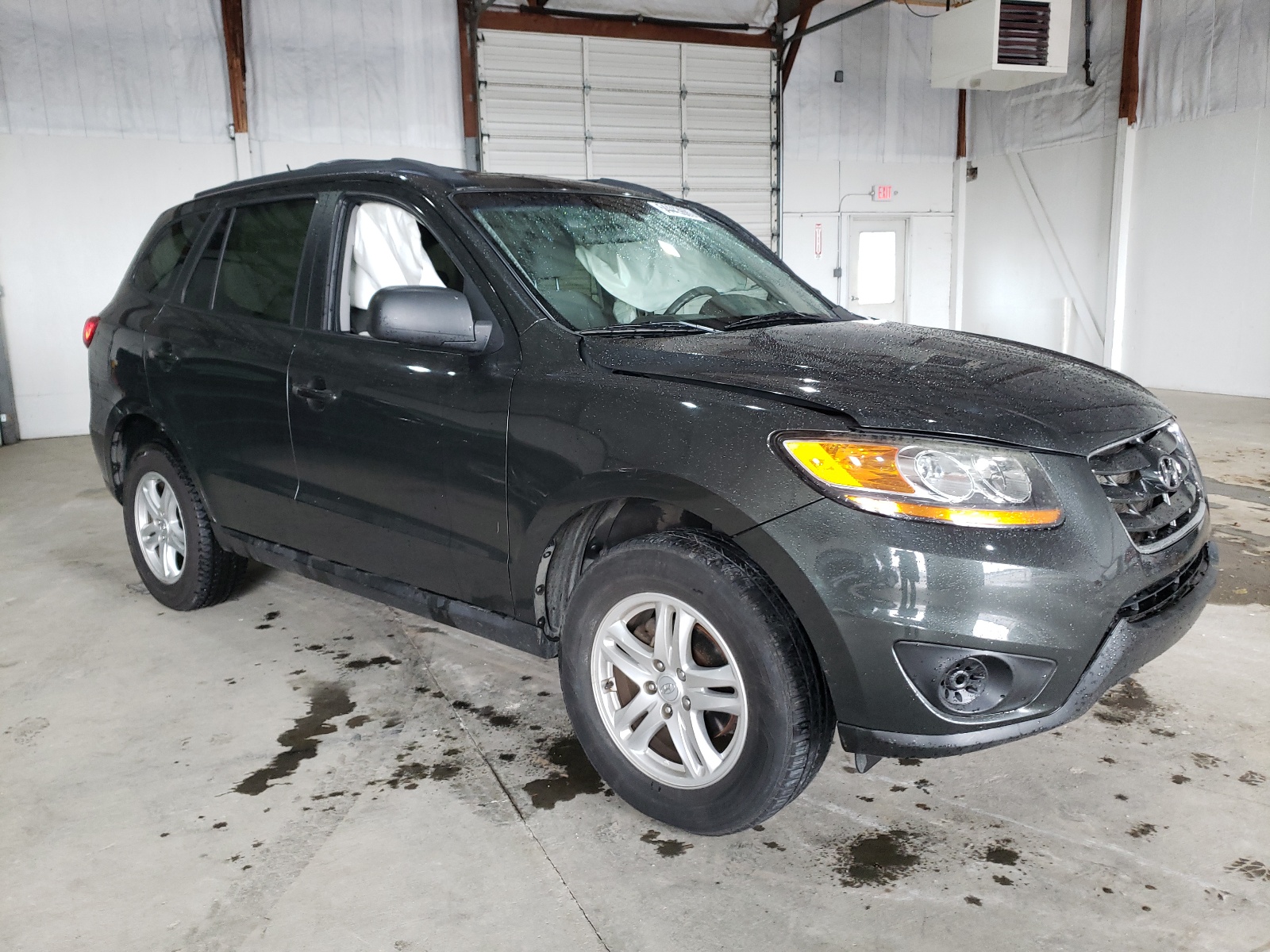 HYUNDAI SANTA FE G 2010 with VIN 5NMSGDAB9AH413211 - Photo from auction
