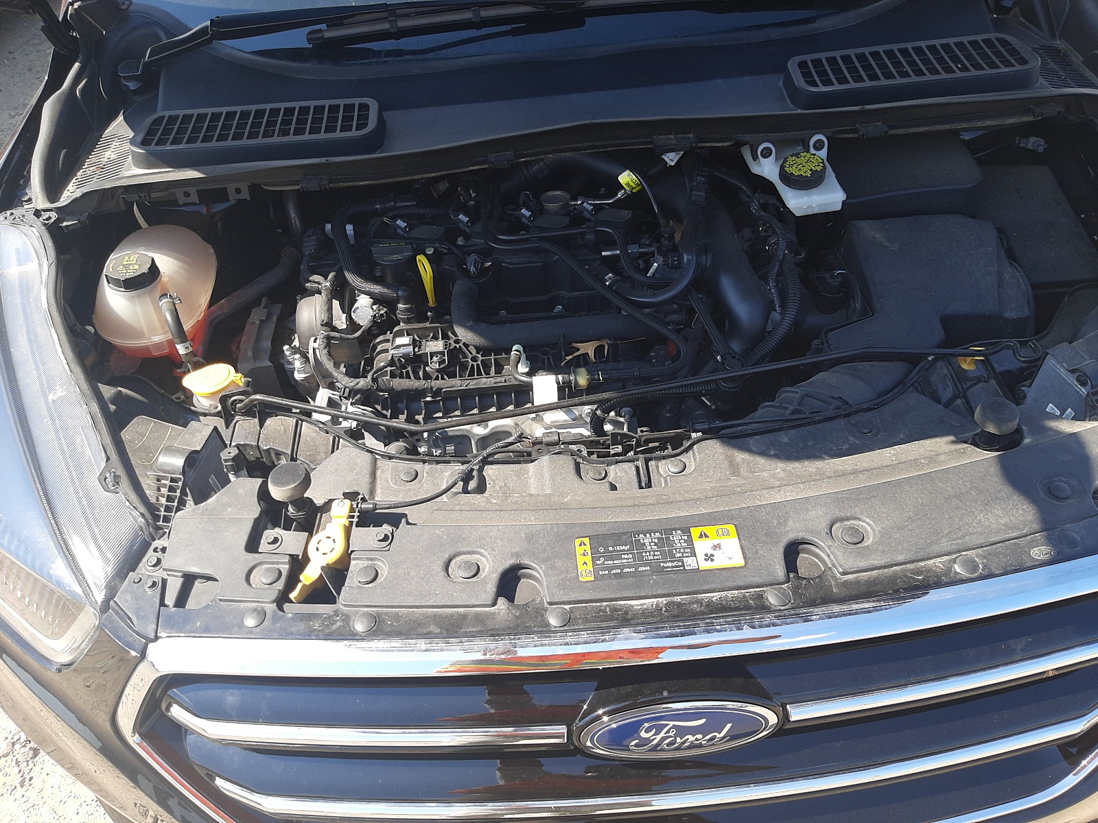 Photo 7 from auction – 2019 FORD ESCAPE SE with VIN 1FMCU0GD7KUB29466
