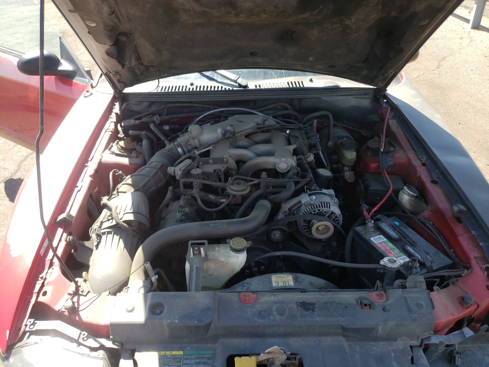 Photo 7 from auction – 1999 FORD MUSTANG with VIN 1FAFP4047XF217199