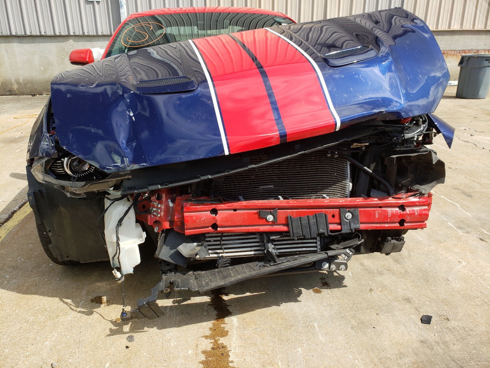 Photo 9 from auction – 2019 FORD MUSTANG with VIN 1FA6P8TH5K5122239