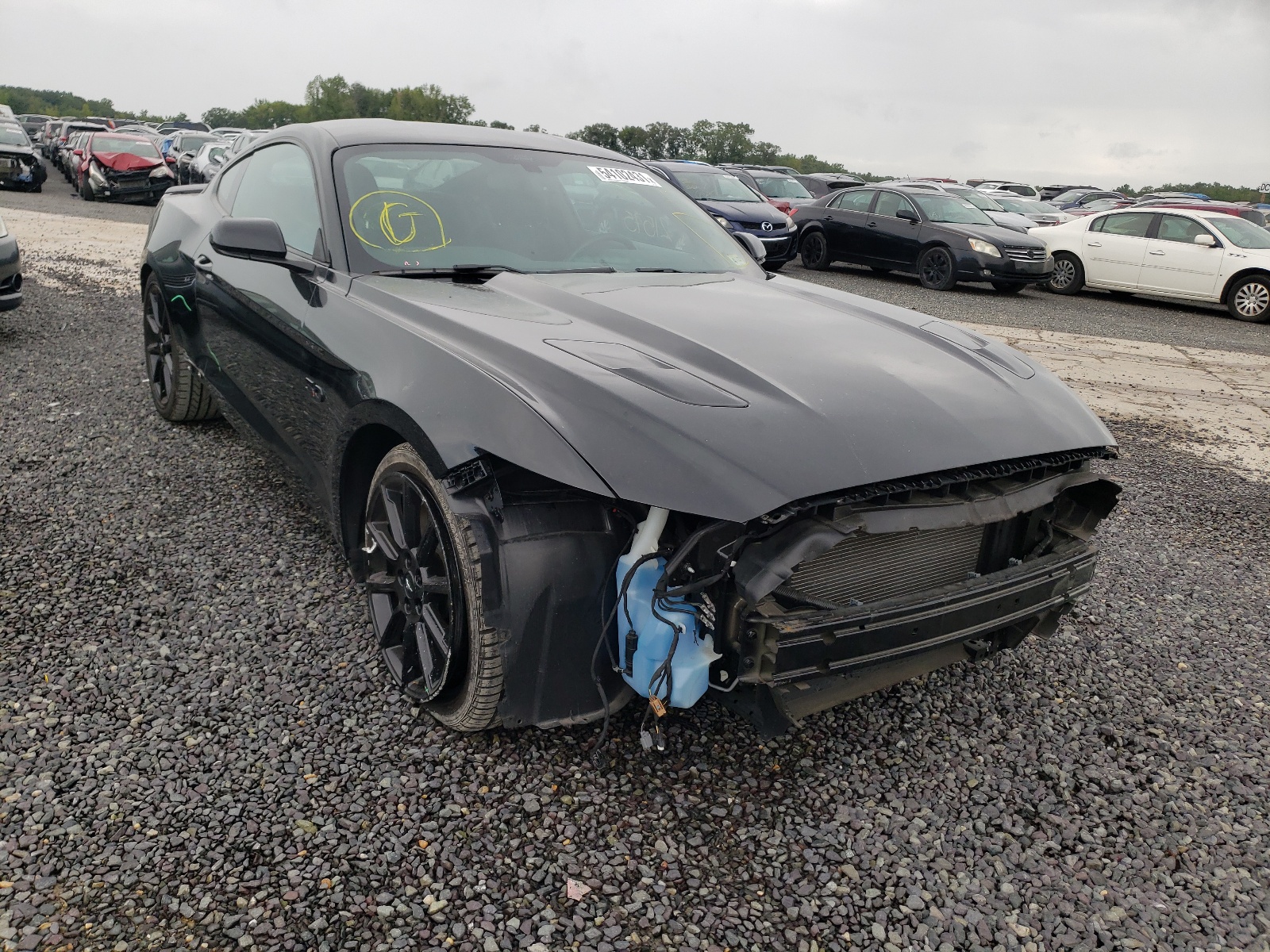 FORD MUSTANG GT 2016 with VIN 1FA6P8CF2G5294878 - Photo from auction