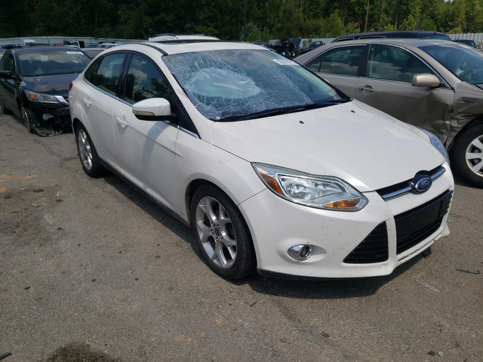 FORD FOCUS SEL 2012 with VIN 1FAHP3H22CL278011 - Photo from auction