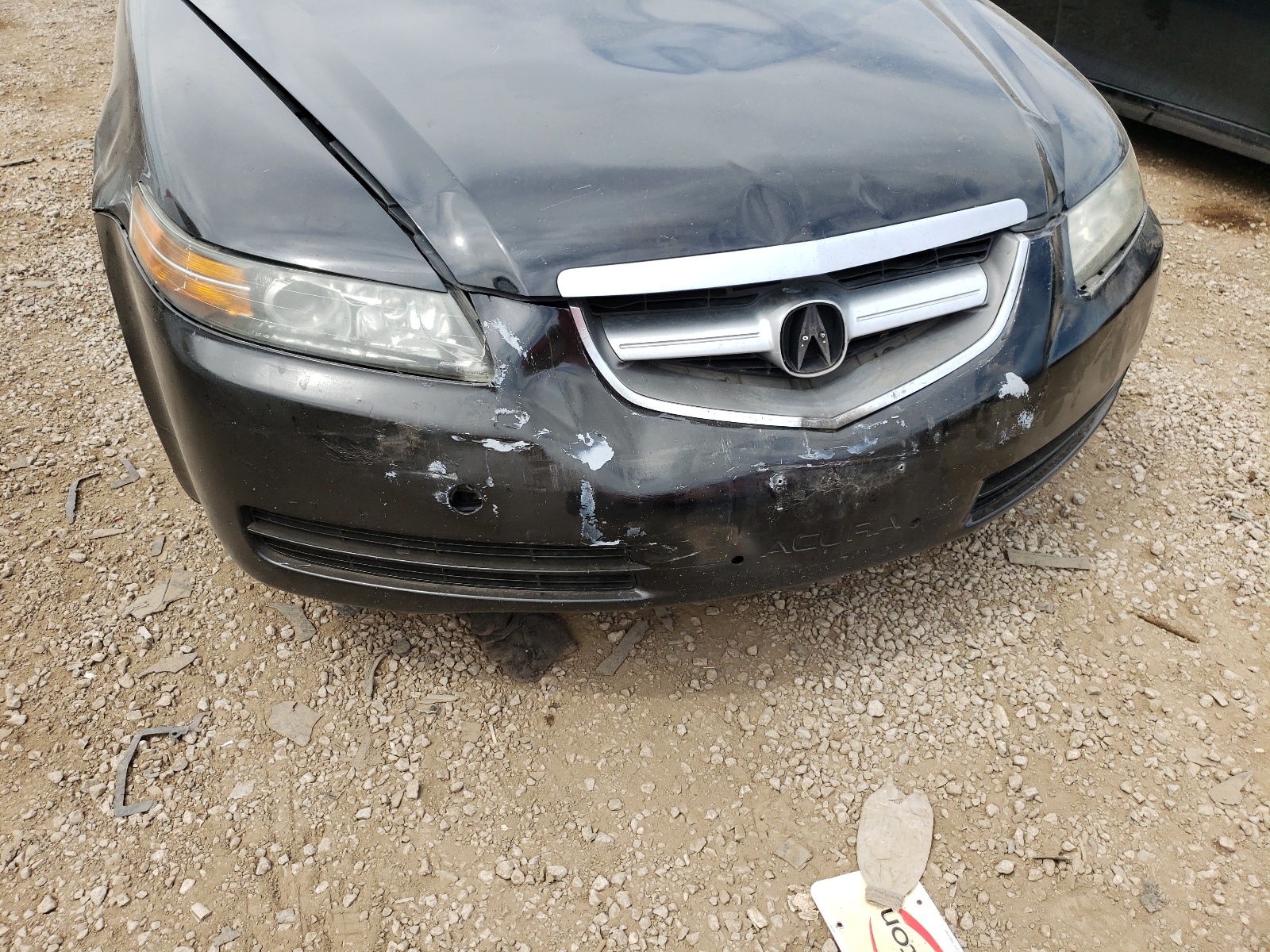 Photo 9 from auction – 2005 ACURA TL with VIN 19UUA66245A012519