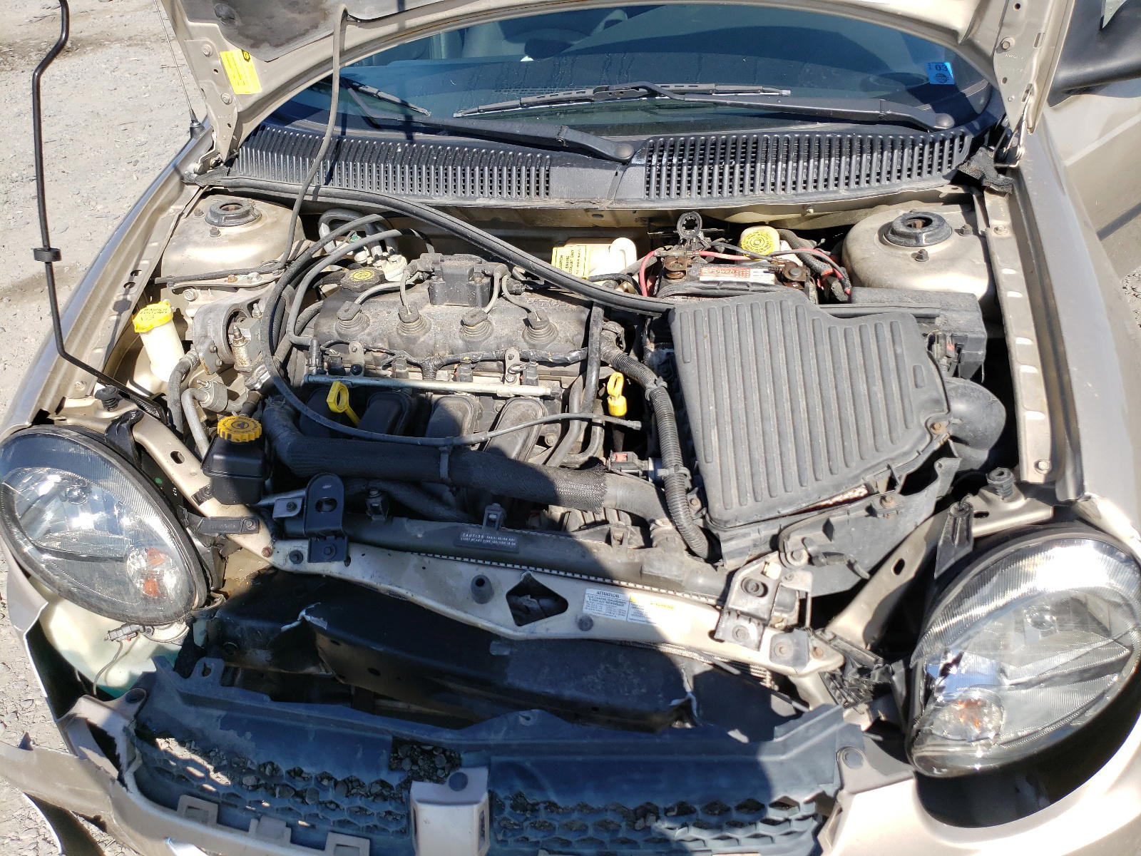 Photo 7 from auction – 2003 DODGE NEON with VIN 1B3ES26C93D238196