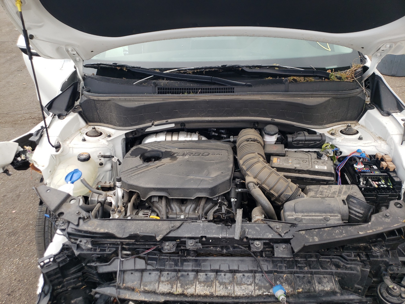 Photo 7 from auction – 2021 KIA SELTOS SX with VIN KNDETCA21M7088150