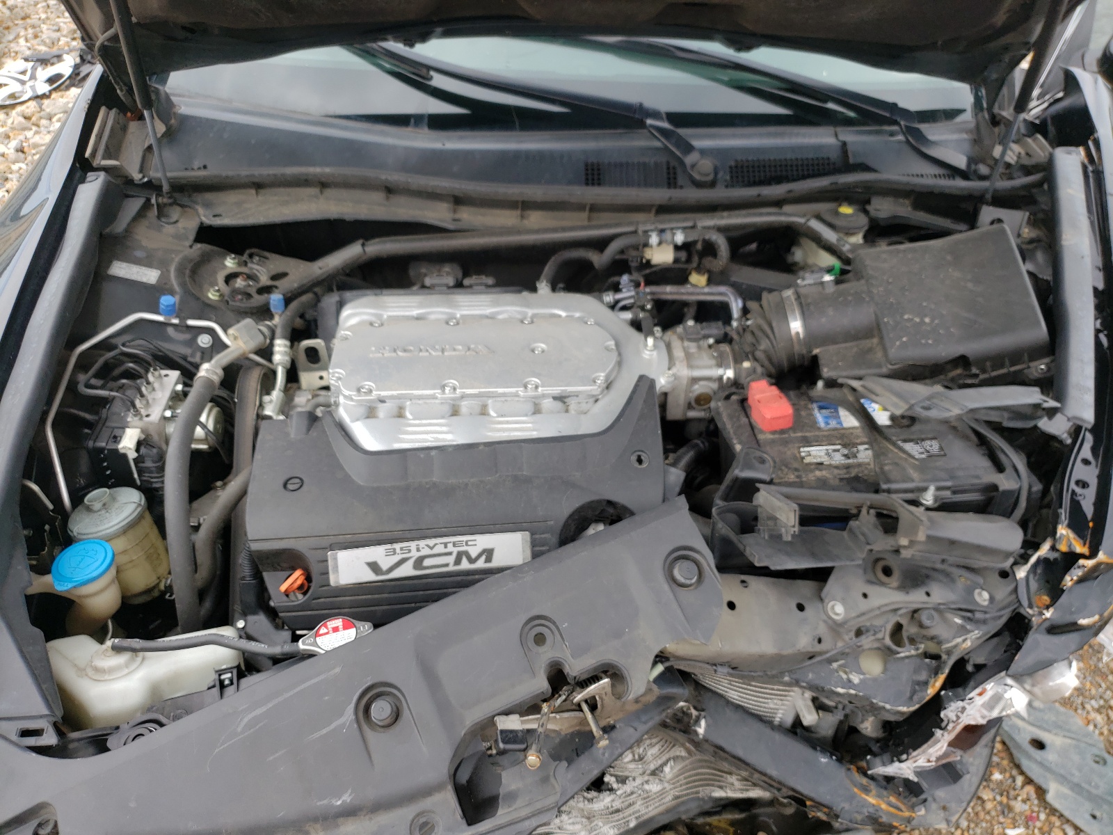 Photo 7 from auction – 2011 HONDA ACCORD EXL with VIN 1HGCP3F85BA008486