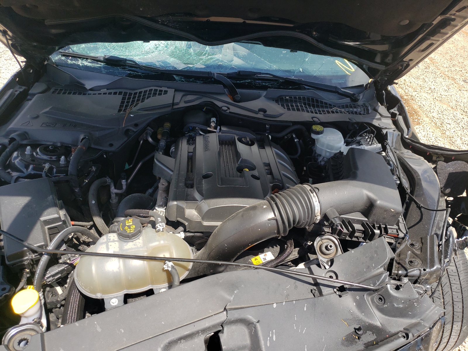 Photo 7 from auction – 2017 FORD MUSTANG with VIN 1FA6P8TH3H5275842