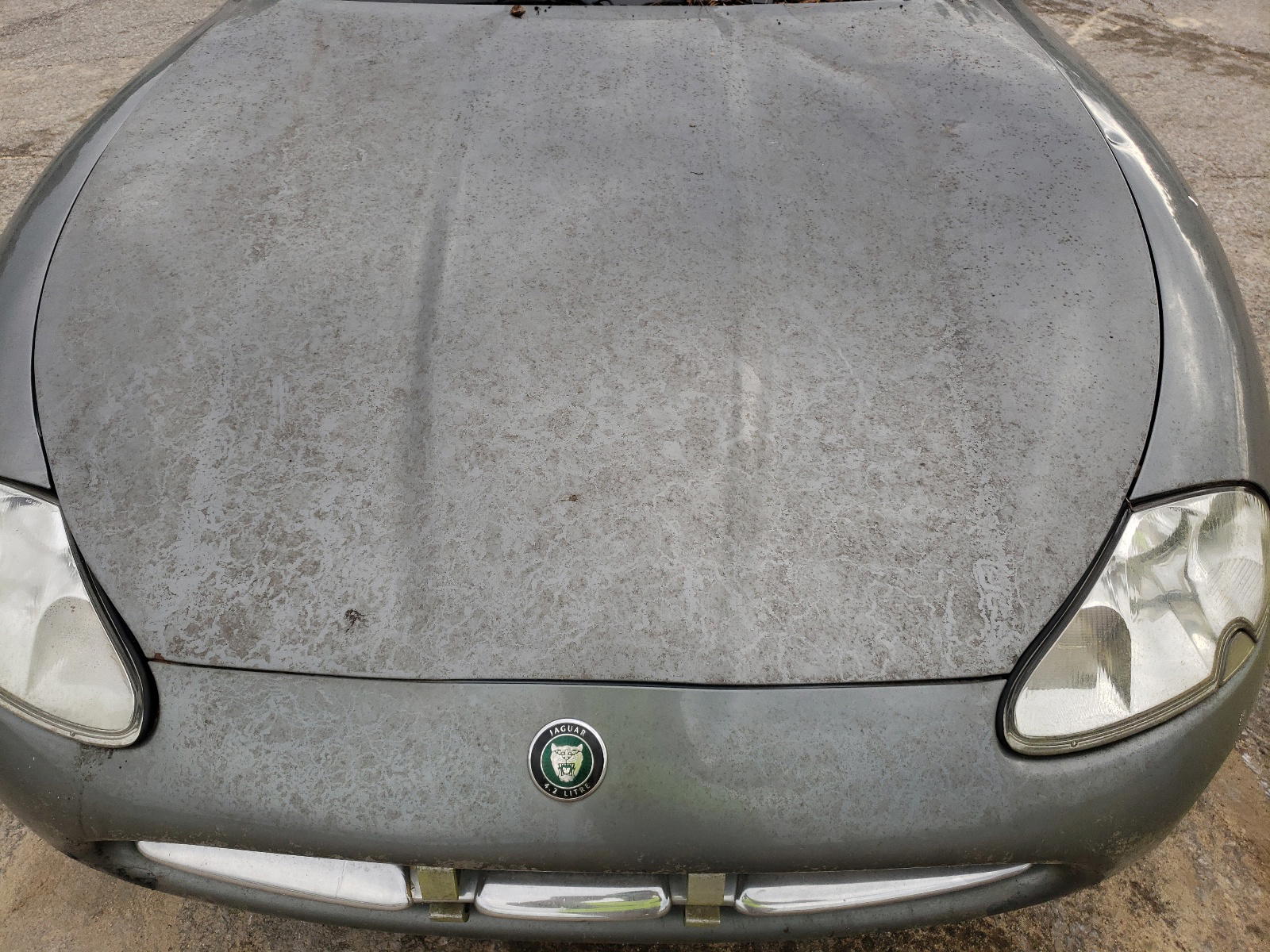 Photo 7 from auction – 2003 JAGUAR XK8 with VIN SAJDA42C432A35764