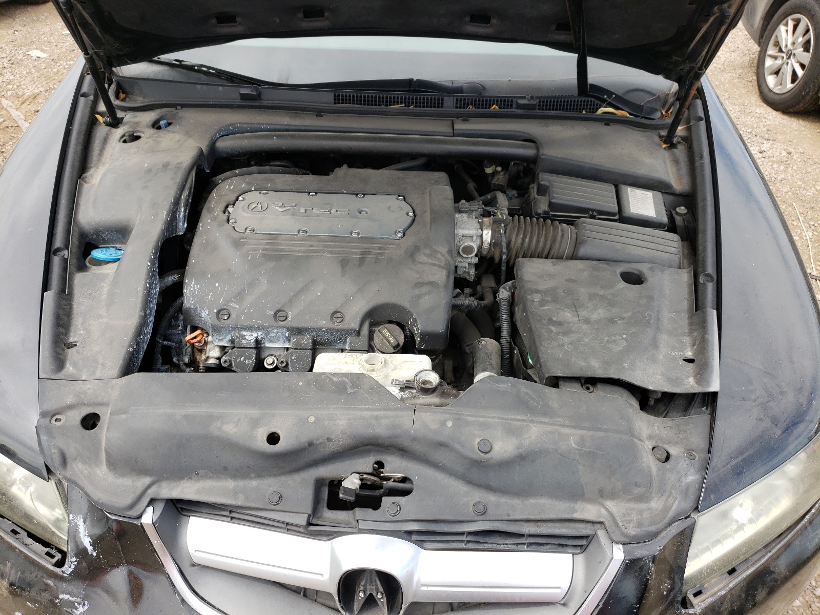 Photo 7 from auction – 2005 ACURA TL with VIN 19UUA66245A012519