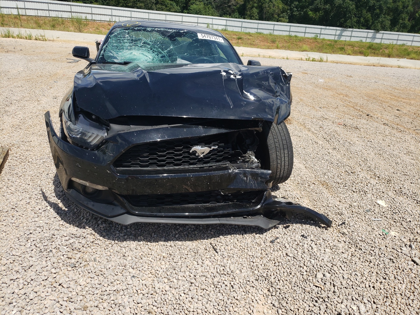 Photo 9 from auction – 2017 FORD MUSTANG with VIN 1FA6P8TH3H5275842