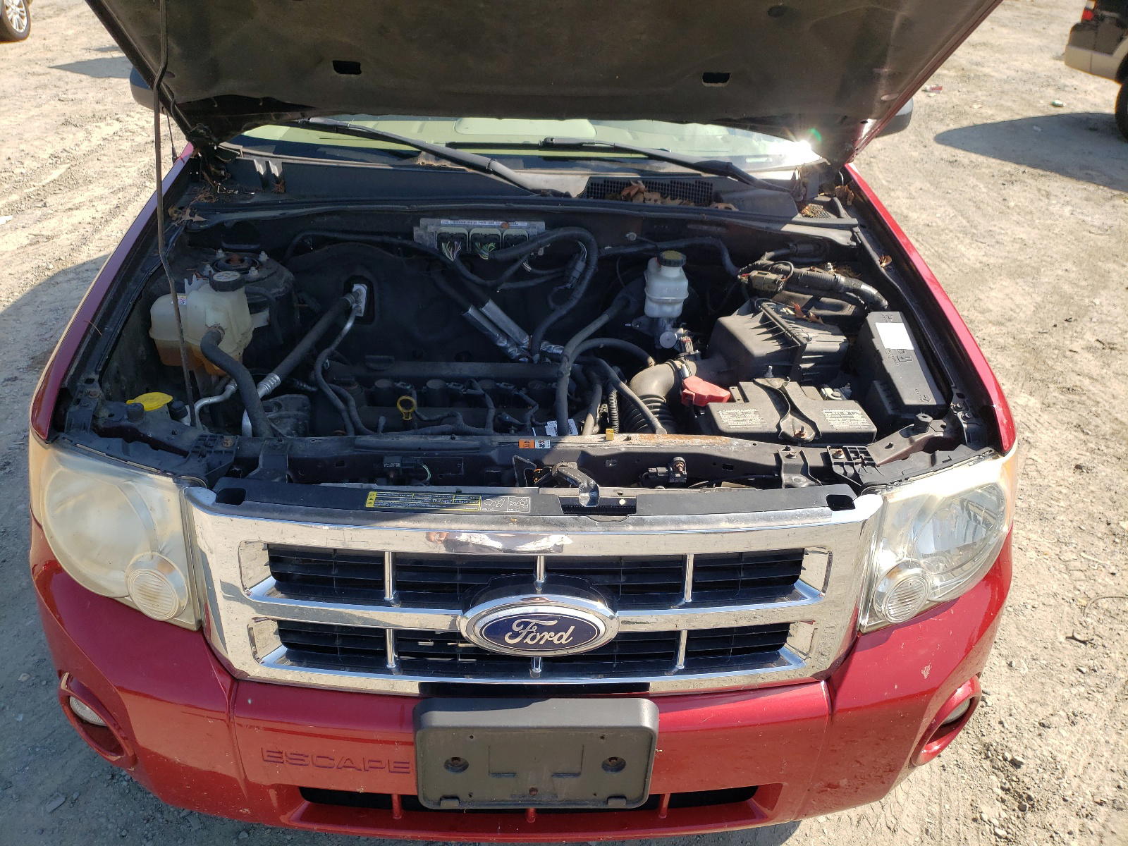 Photo 7 from auction – 2010 FORD ESCAPE with VIN 1FMCU9D71AKD16215