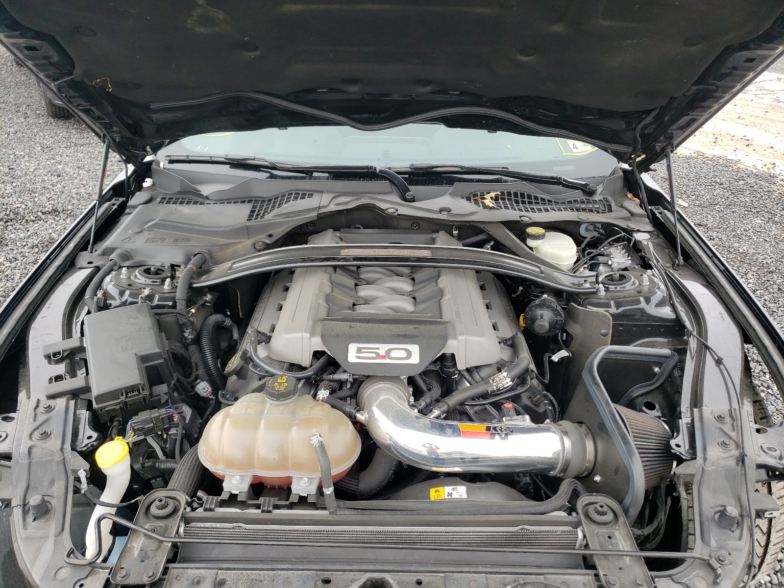 Photo 7 from auction – 2016 FORD MUSTANG GT with VIN 1FA6P8CF2G5294878