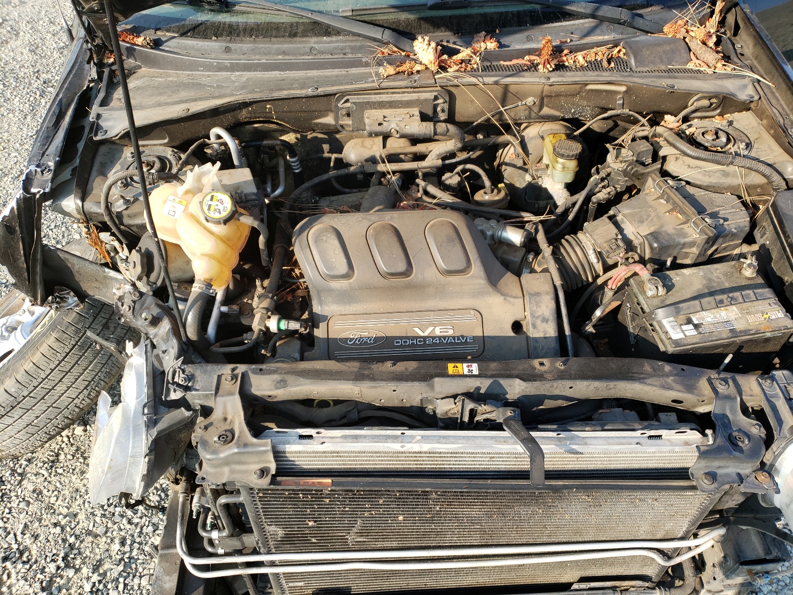 Photo 7 from auction – 2003 FORD ESCAPE XLS with VIN 1FMYU92193KA39160