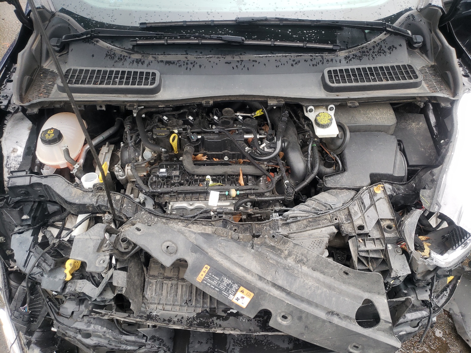 Photo 7 from auction – 2019 FORD ESCAPE SE with VIN 1FMCU0GD2KUB20724