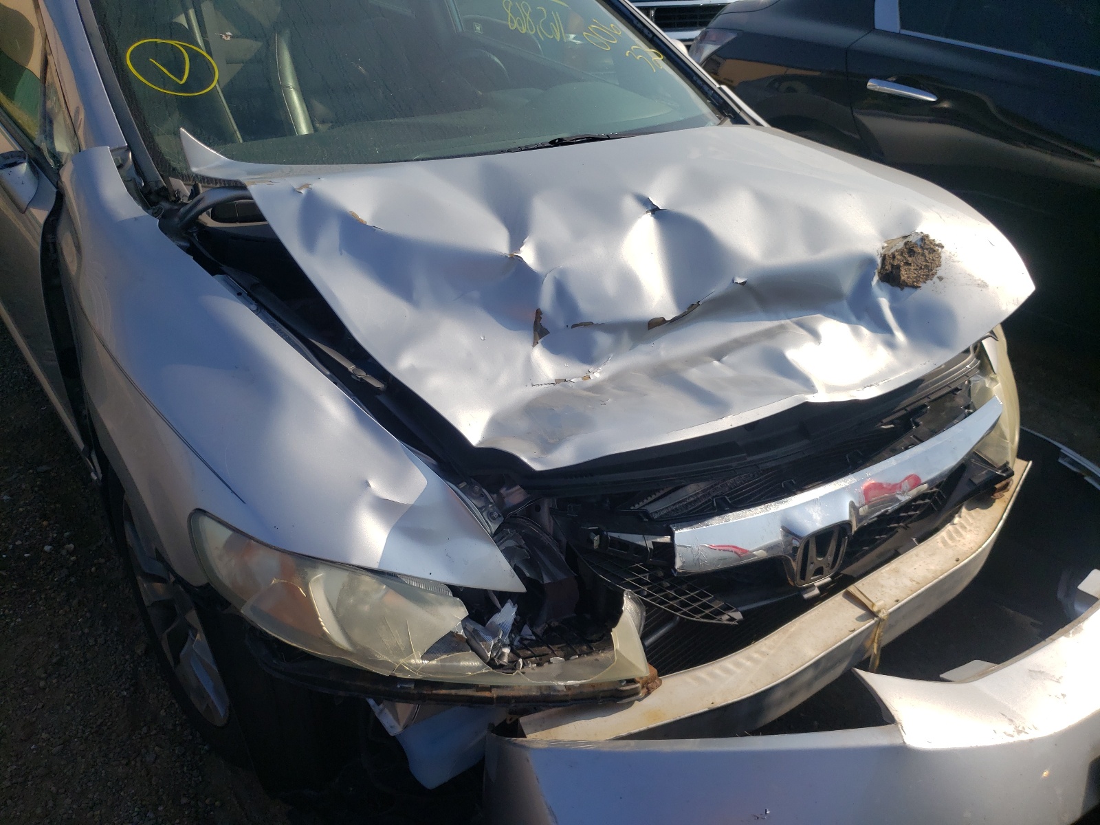 Photo 9 from auction – 2009 HONDA CIVIC EXL with VIN 19XFA16989E006328