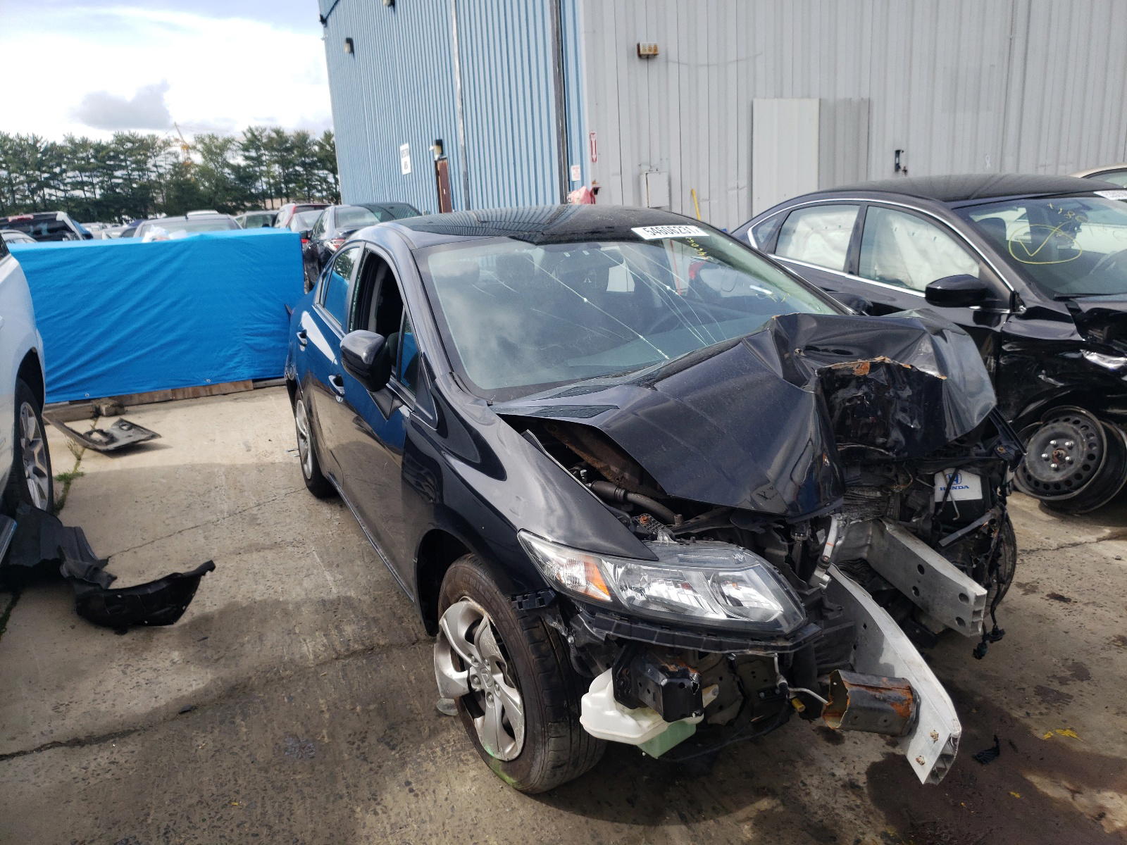 HONDA CIVIC LX 2015 with VIN 19XFB2F52FE220033 - Photo from auction