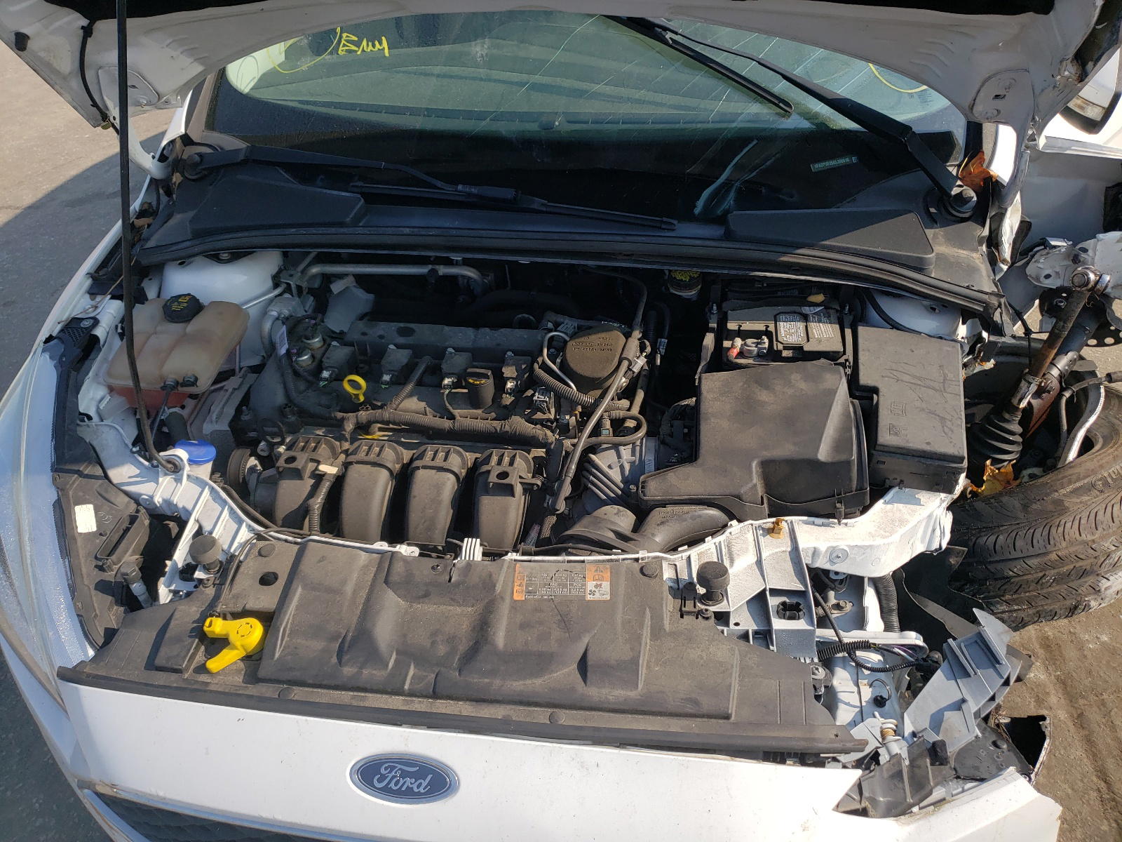 Photo 7 from auction – 2016 FORD FOCUS SE with VIN 1FADP3F25GL300610