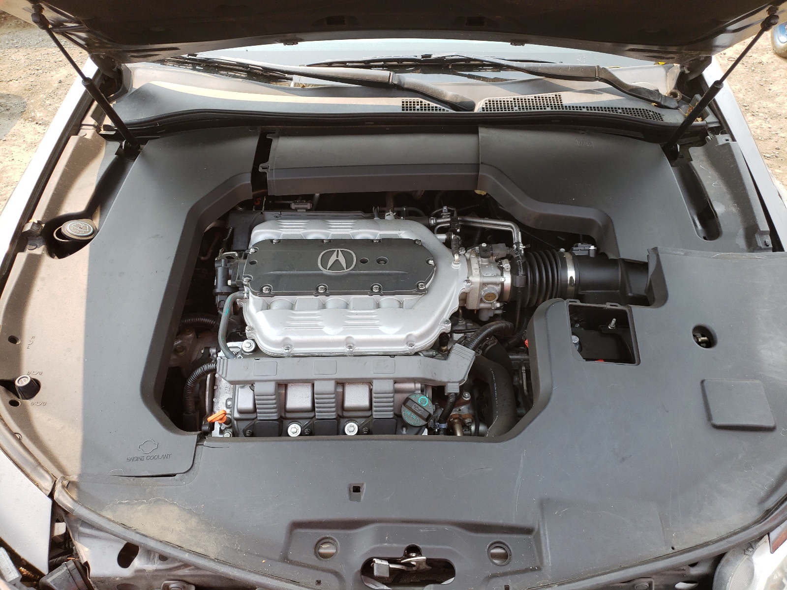 Photo 7 from auction – 2009 ACURA TL with VIN 19UUA86529A022641