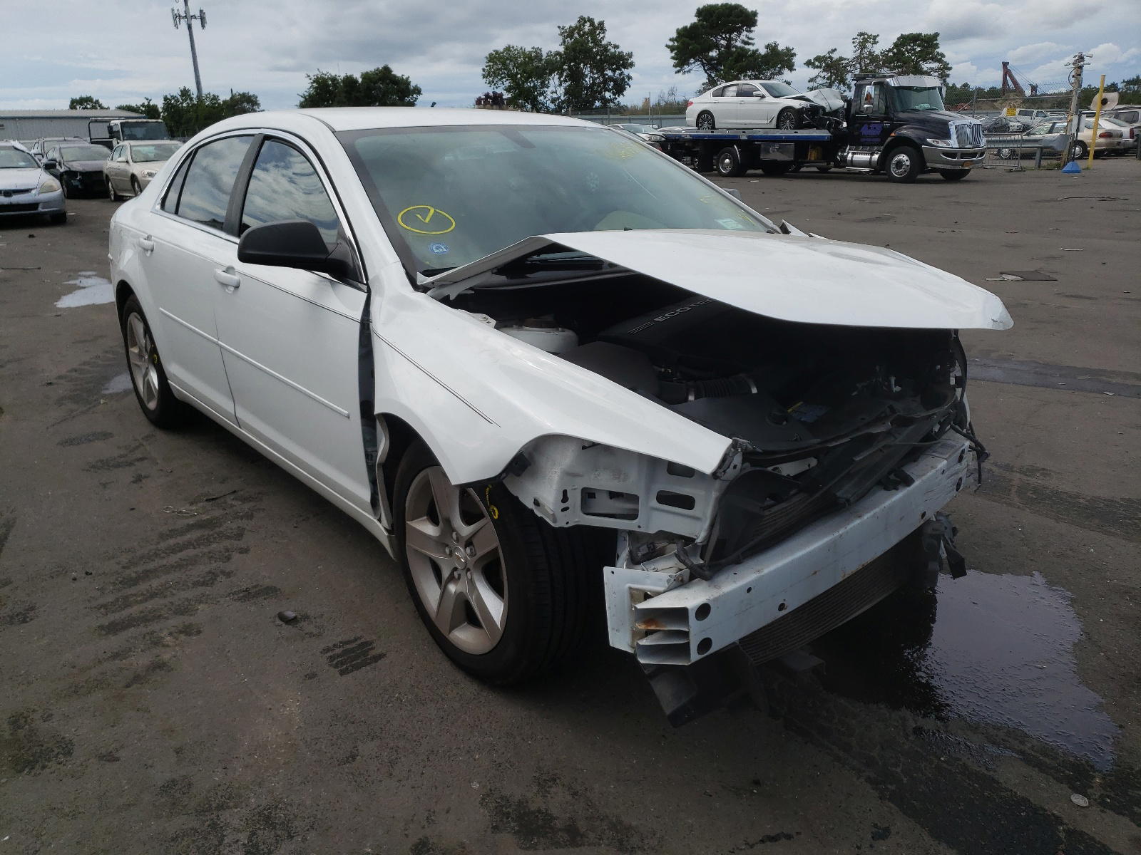 CHEVROLET MALIBU LS 2010 with VIN 1G1ZB5EB8A4128451 - Photo from auction