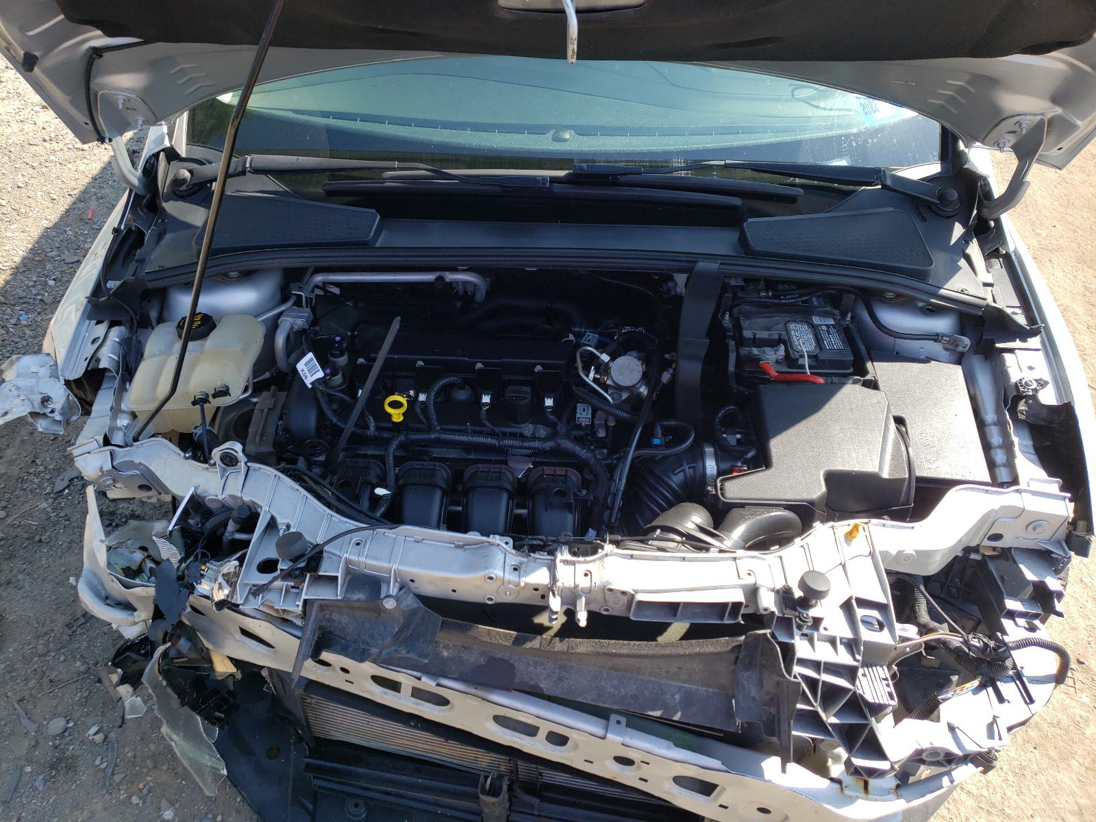 Photo 7 from auction – 2016 FORD FOCUS SE with VIN 1FADP3F25GL342209