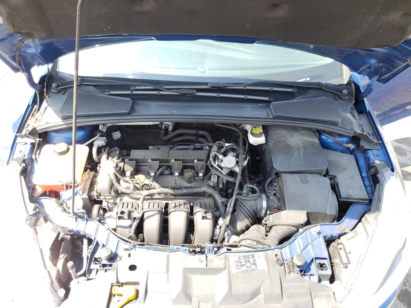 Photo 7 from auction – 2018 FORD FOCUS SE with VIN 1FADP3K29JL206047