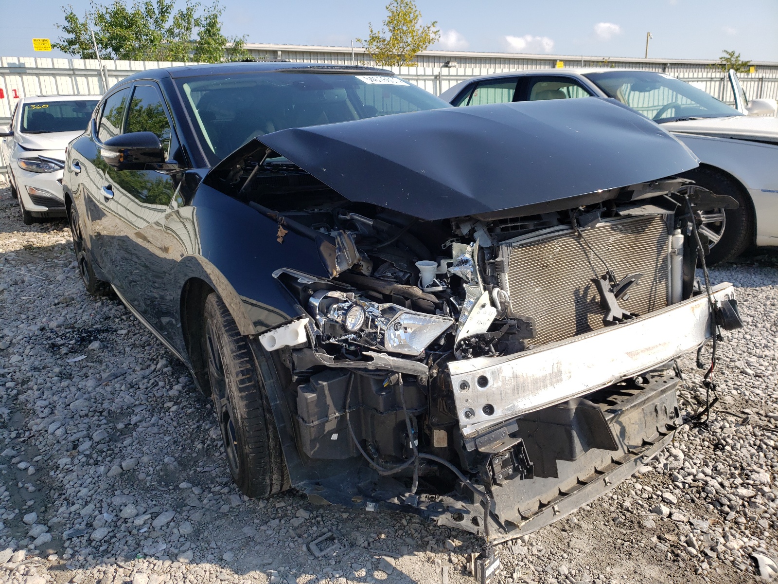 Photo 1 from auction – 2016 NISSAN MAXIMA 3.5 with VIN 1N4AA6AP9GC434240