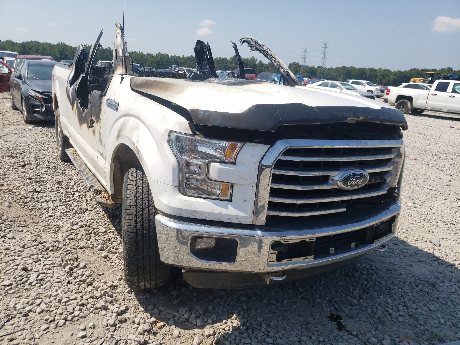 FORD F150 SUPER 2016 with VIN 1FTEX1EP0GKF75730 - Photo from auction