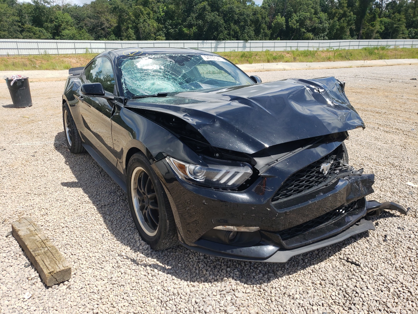 FORD MUSTANG 2017 with VIN 1FA6P8TH3H5275842 - Photo from auction