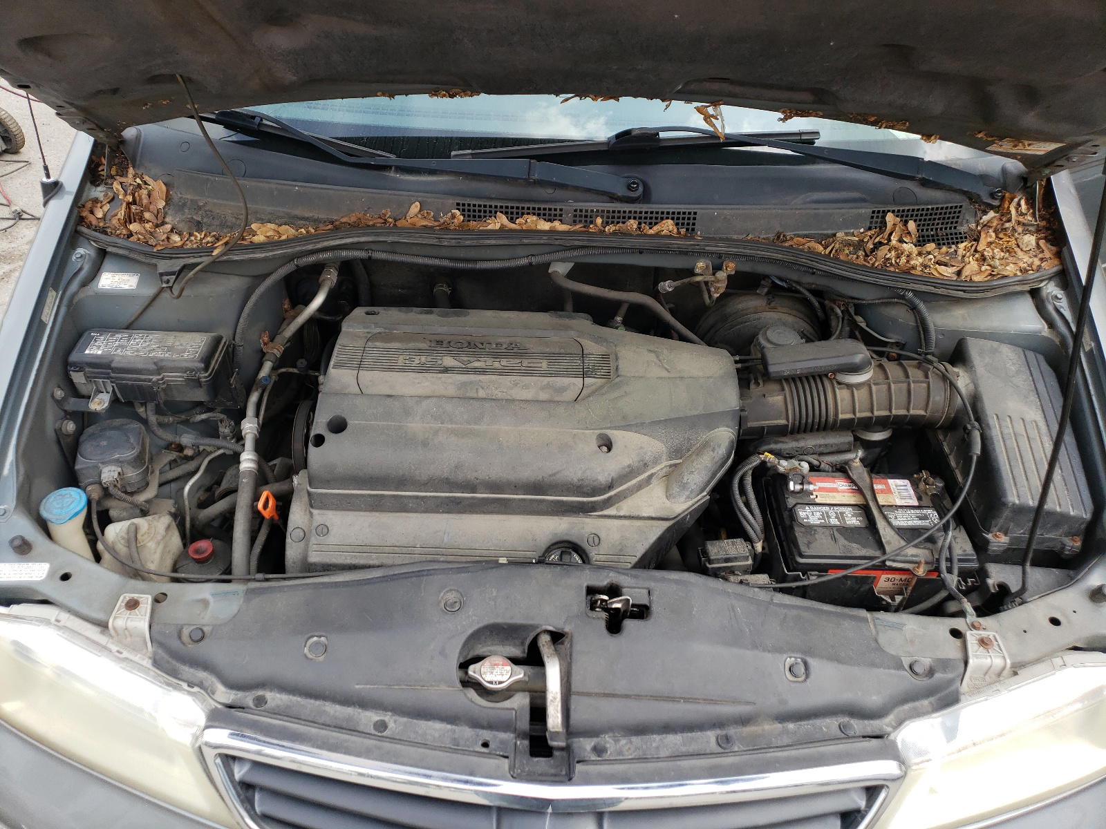 Photo 7 from auction – 2002 HONDA ODYSSEY EX with VIN 5FNRL189X2B024561