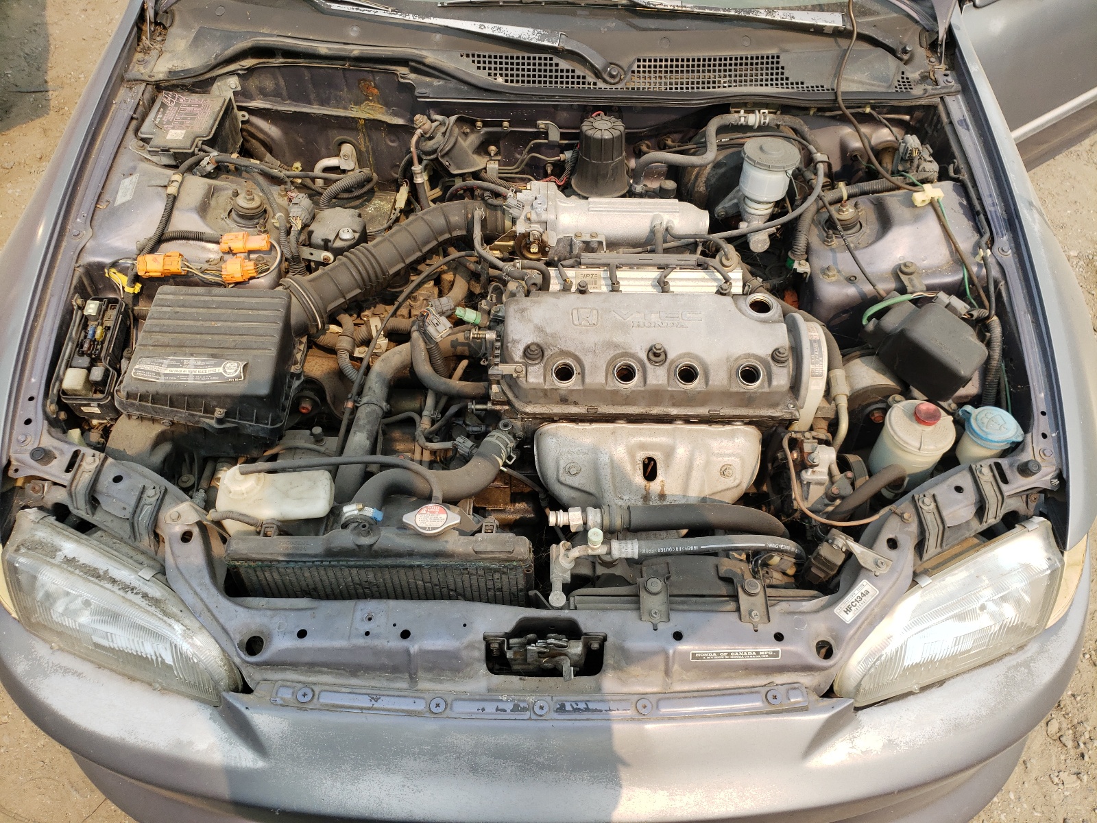 Photo 7 from auction – 1995 HONDA CIVIC EX with VIN 2HGEJ1233SH558909