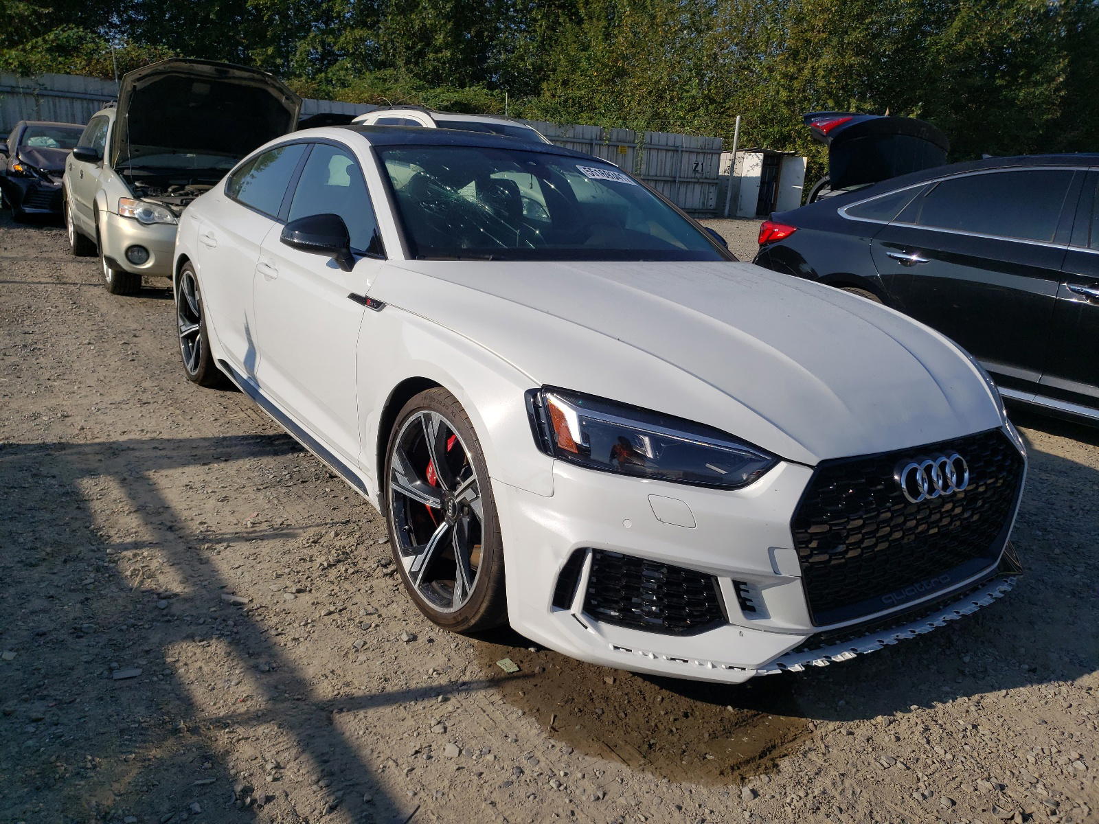 AUDI RS5 2019 with VIN WUABWCF59KA901184 - Photo from auction