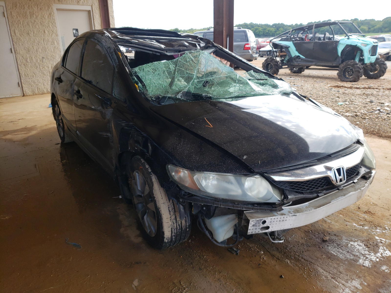 HONDA CIVIC EX 2011 with VIN 19XFA1F84BE011796 - Photo from auction