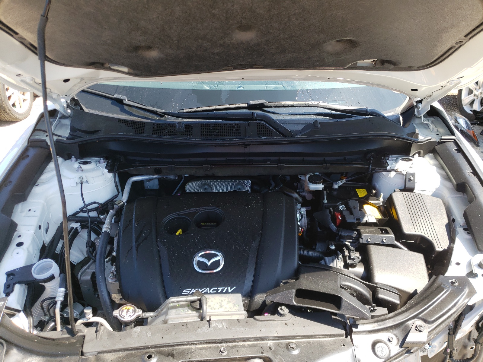 Photo 7 from auction – 2019 MAZDA CX-5 TOURI with VIN JM3KFBCM5K0600038