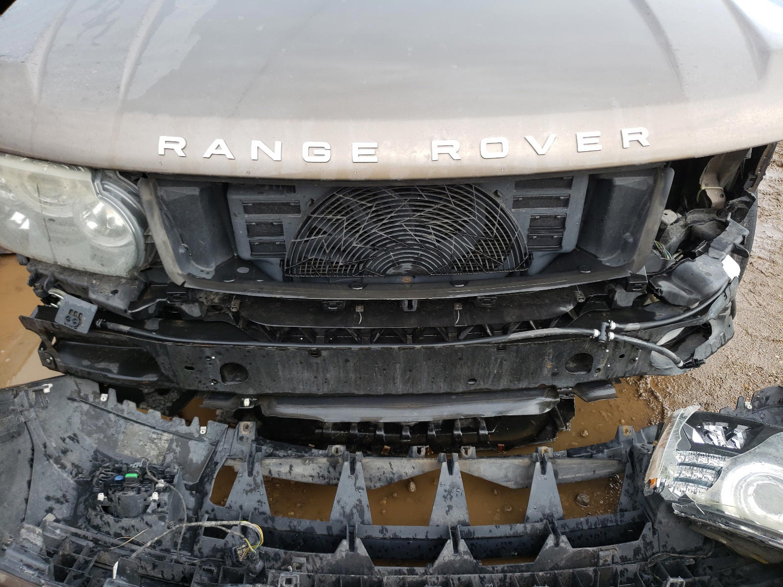 Photo 9 from auction – 2011 LAND ROVER RANGE ROVE with VIN SALMF1D48BA331319