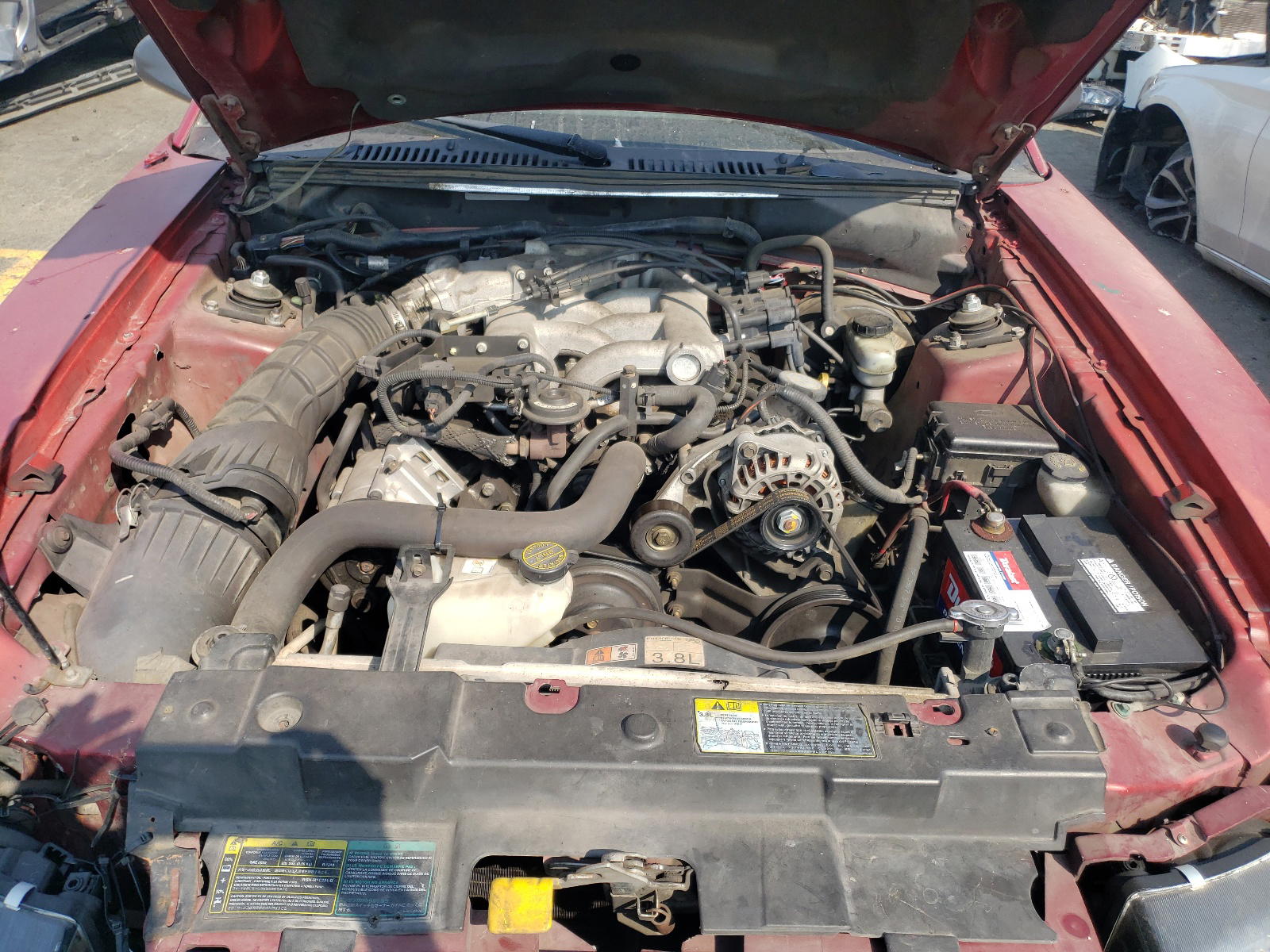 Photo 7 from auction – 2003 FORD MUSTANG with VIN 1FAFP40443F356944