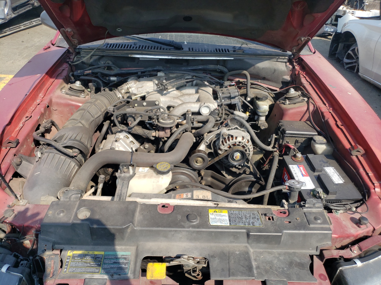 Zdjęcie 7 z aukcji – 2003 FORD MUSTANG z VIN 1FAFP40443F356944