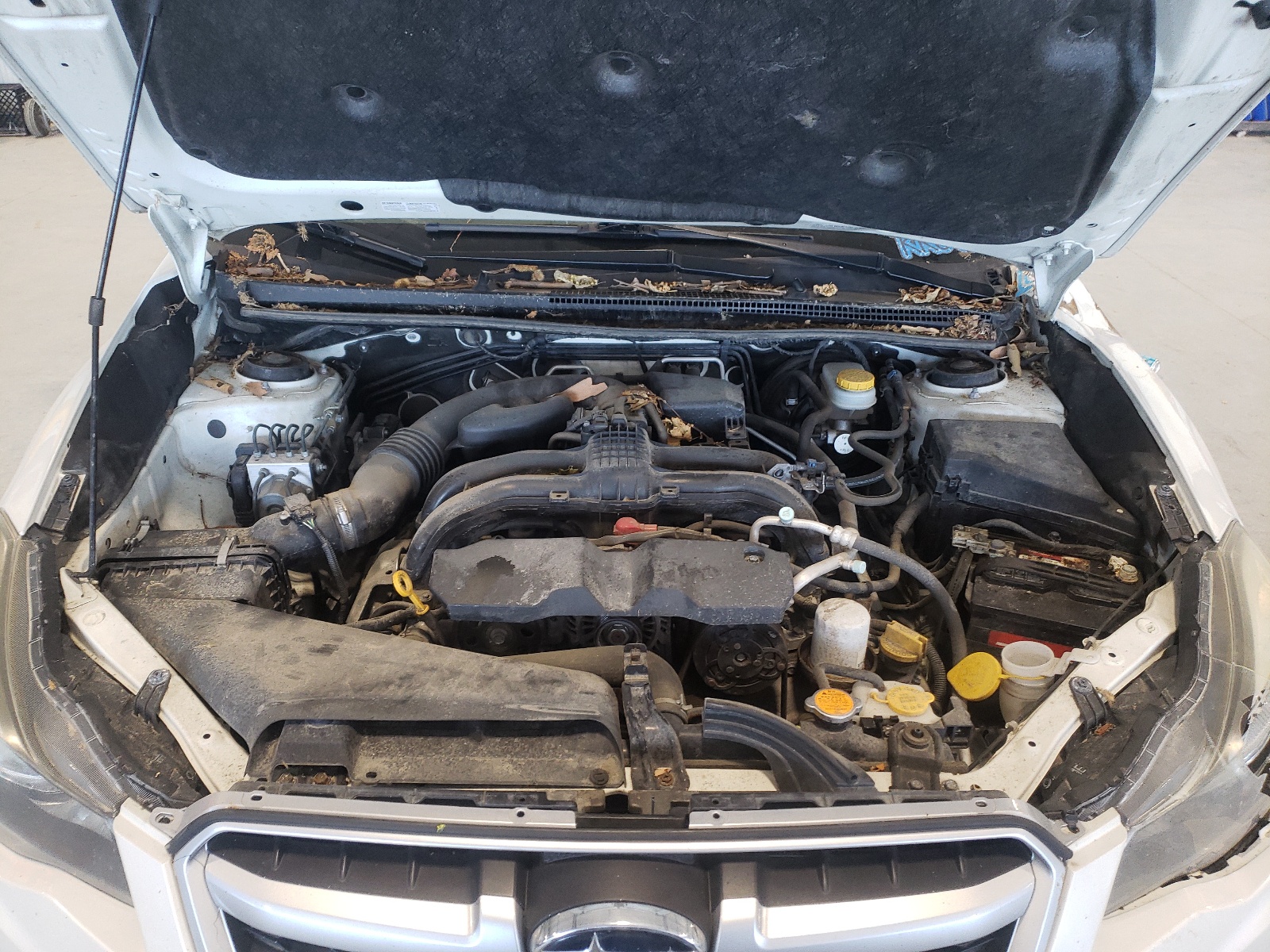 صورة رقم 7 من المزاد - 2014 SUBARU IMPREZA SP مع VIN JF1GPAL67E8293944