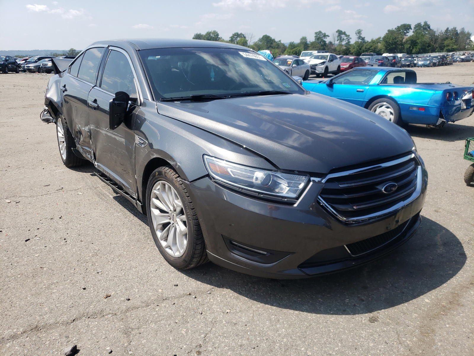 FORD TAURUS LIM 2019 with VIN 1FAHP2F87KG115489 - Photo from auction