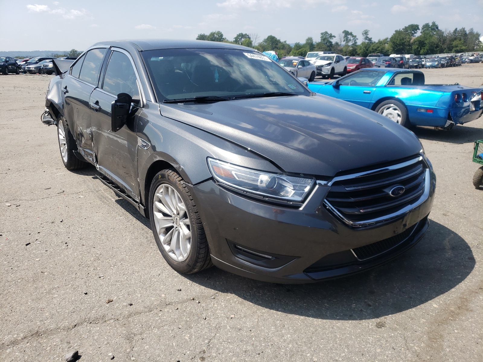 FORD TAURUS LIM 2019 с VIN 1FAHP2F87KG115489 - Фото с аукциона