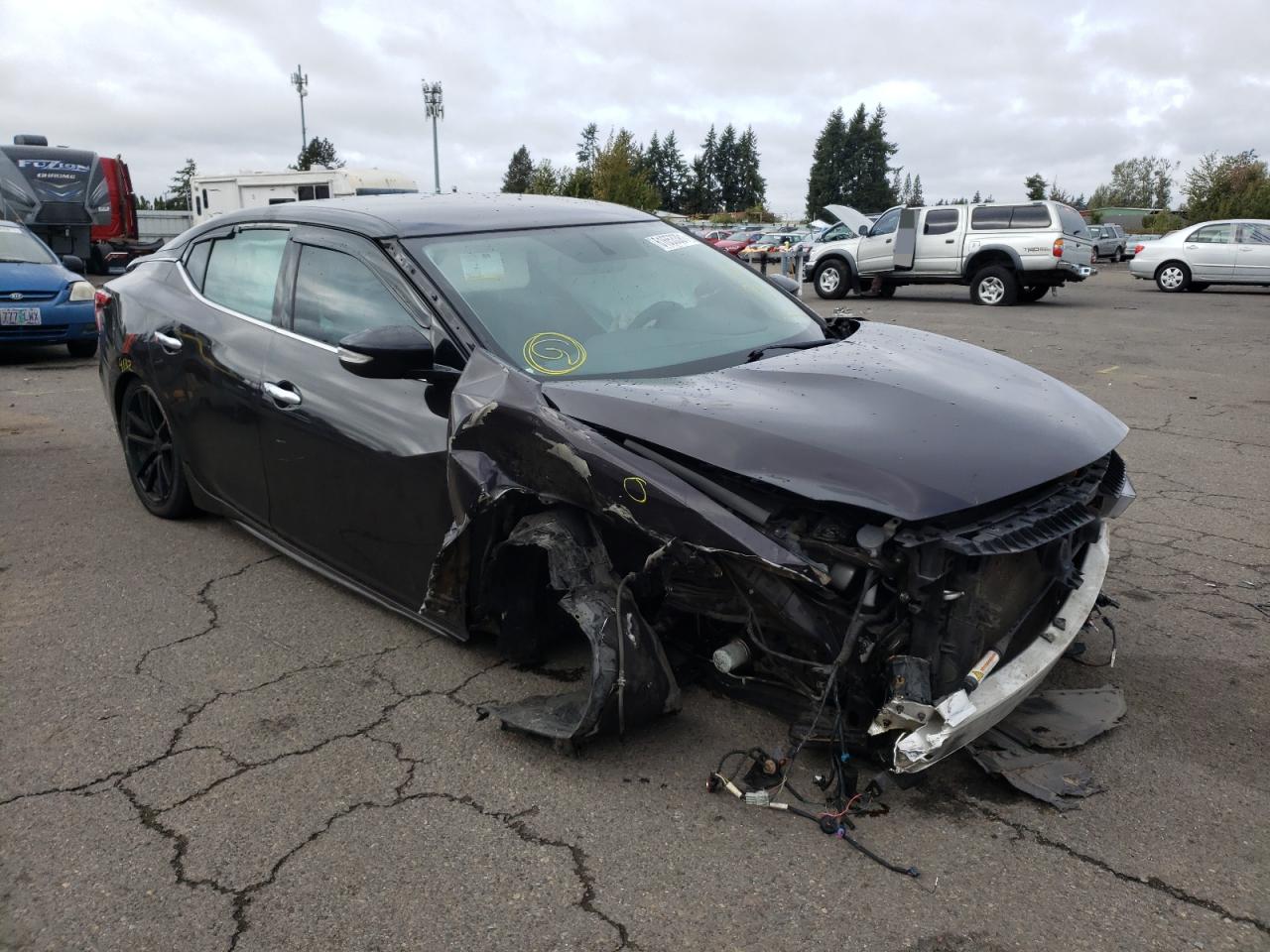 NISSAN MAXIMA 3.5 2016 with VIN 1N4AA6AP0GC437558 - Photo from auction