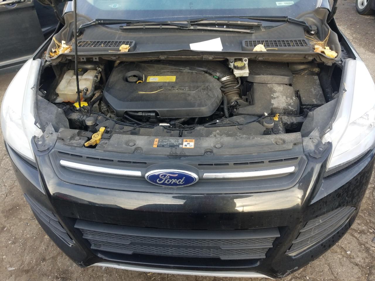 Photo 7 from auction – 2014 FORD ESCAPE SE with VIN 1FMCU0GX3EUC29059