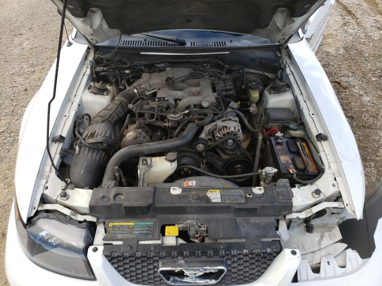 Photo 7 from auction – 2003 FORD MUSTANG with VIN 1FAFP40483F428163