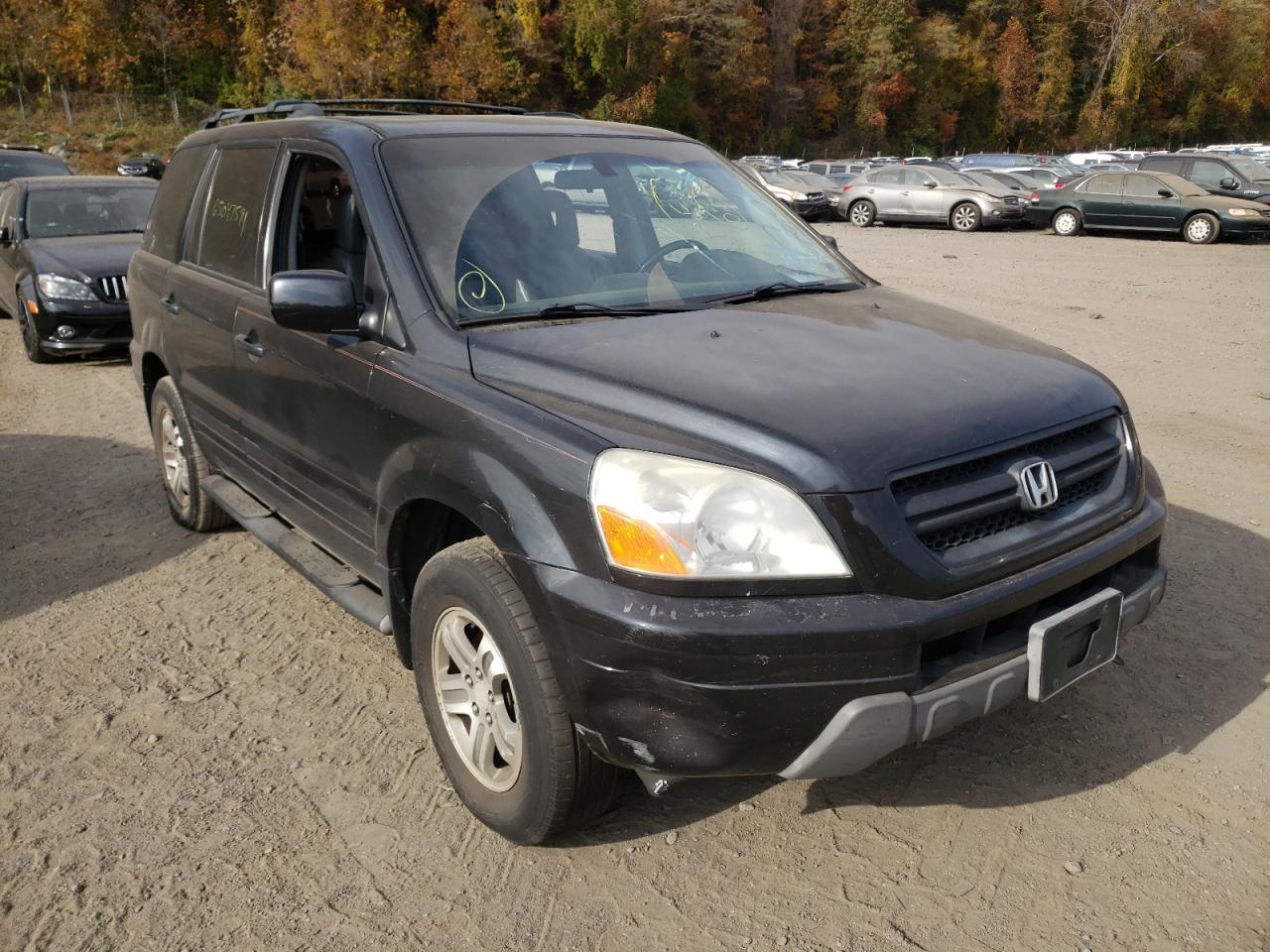 HONDA PILOT EXL 2003 with VIN 2HKYF18543H513217 - Photo from auction