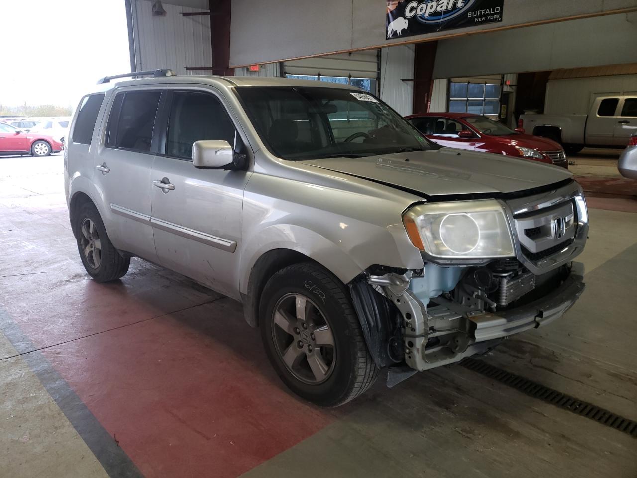 HONDA PILOT EX 2010 with VIN 5FNYF4H46AB009692 - Photo from auction
