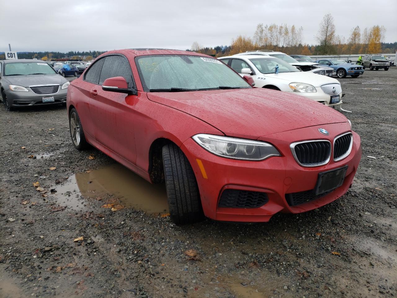 BMW 228I 2016 con VIN WBA1G9C55GV726944 - Foto de la subasta