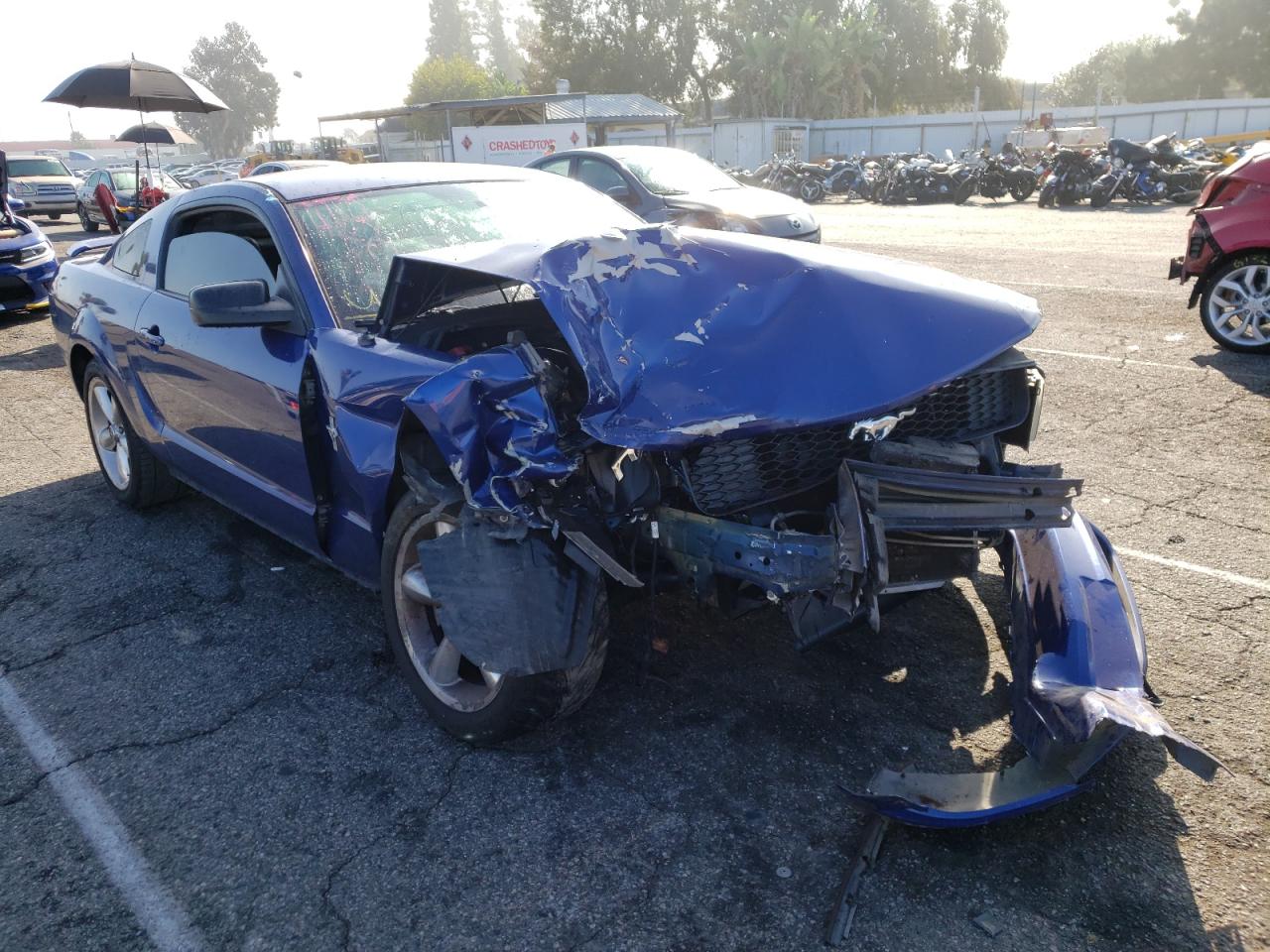 FORD MUSTANG 2005 with VIN 1ZVFT80N055153626 - Photo from auction