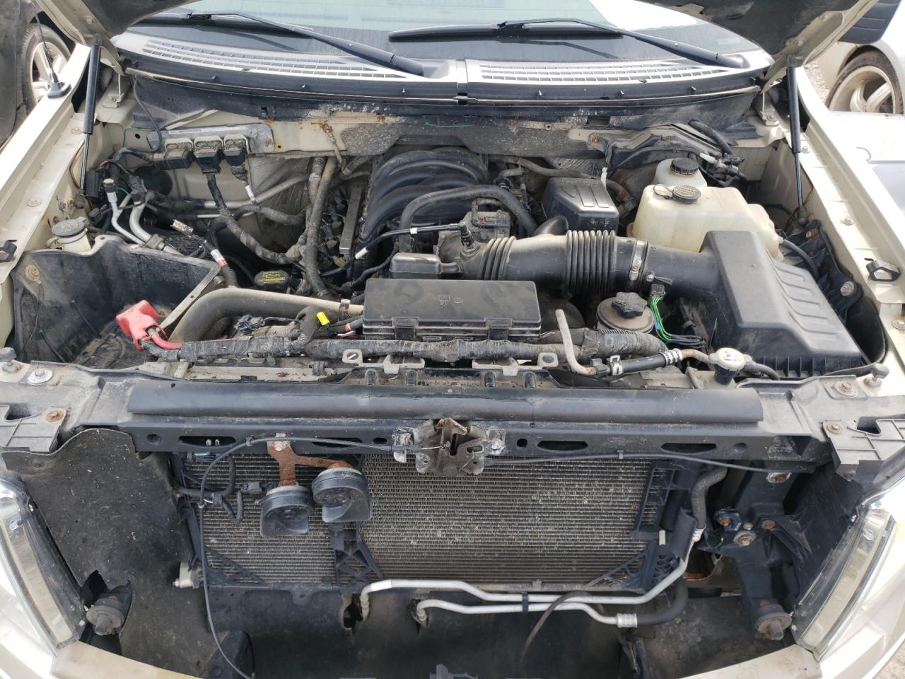 Photo 7 from auction – 2010 FORD F150 SUPER with VIN 1FTFW1E85AFA66488
