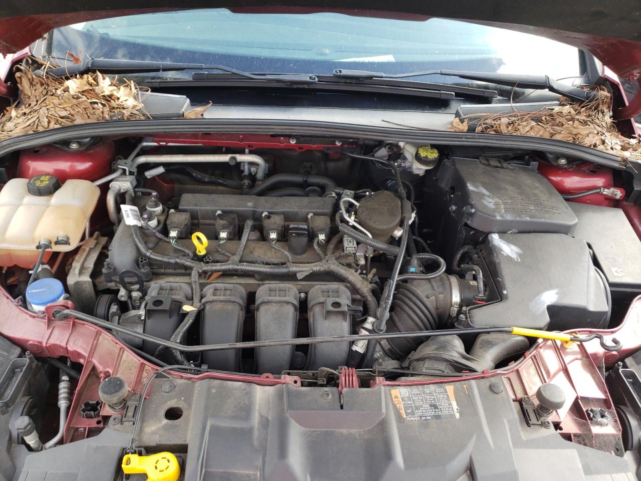 Photo 7 from auction – 2015 FORD FOCUS SE with VIN 1FADP3F29FL238269
