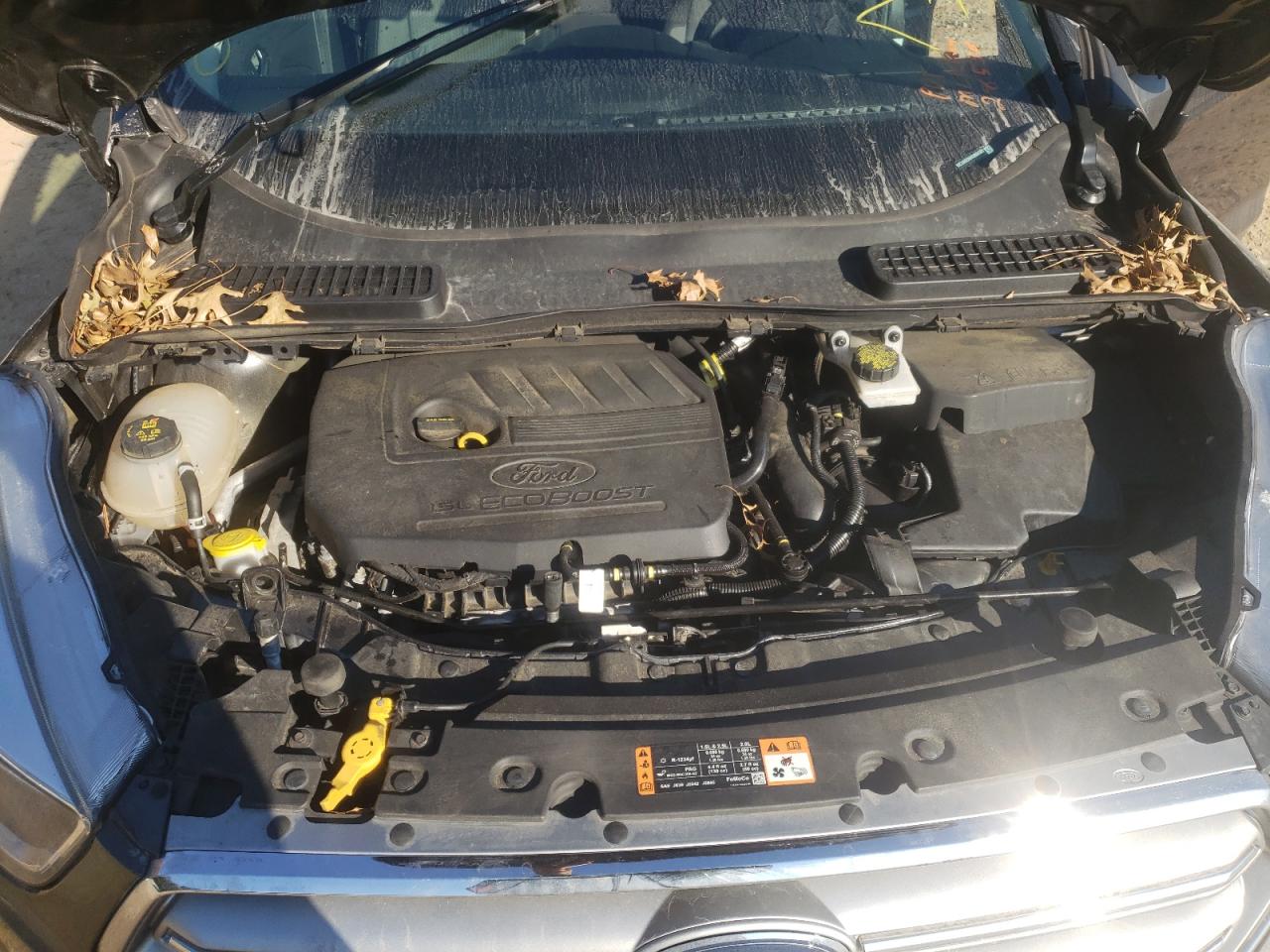 Photo 7 from auction – 2017 FORD ESCAPE SE with VIN 1FMCU0GD6HUB04101